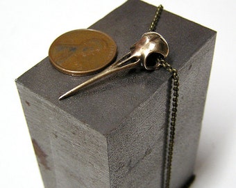 Hummingbird Skull, Necklace Pendant  with 20" inch chain (br)