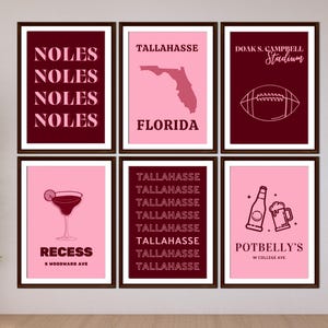 Florida State University Digital Wall Art, Set of 6, FSU Noles pink, Dorm Wall Art, Trendy College Art, Florida State Dorm Prints