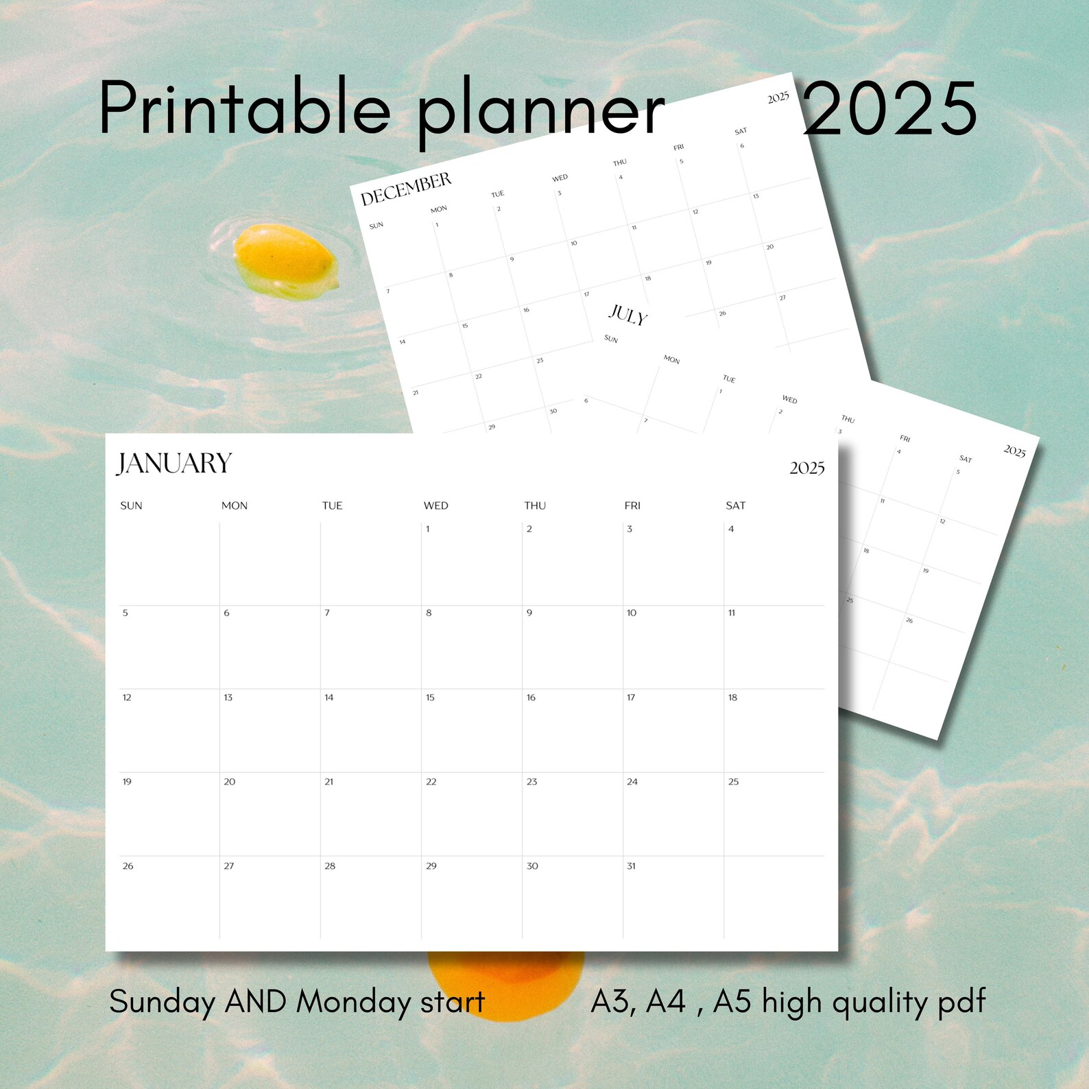 2025 Monthly Planner Template Printable A3, A4, A5. Sunday AND Monday ...
