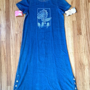 blue cactus dress Lil Cactus Baby Dress  Blue Gingham Goose A Line Dress