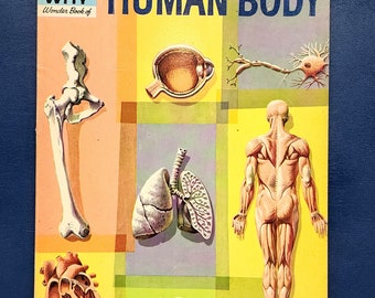 The How and Why Wonder Book of The Human Body 1961