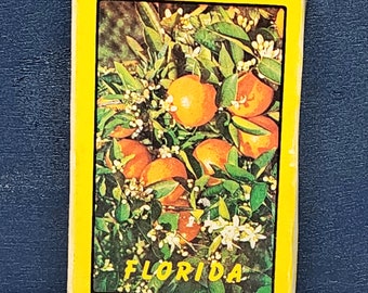 Souvenir Florida Plastic Coated Playing Cards