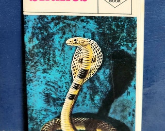 Vintage snakes fold out book