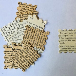 Op de afbeelding: Een close-up van verschillende gescheurde stukken papier met gedrukte tekst. De tekst is in het Engels en bevat zinnen als "before these wide den they were to" en "not allowance".