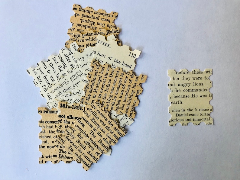 Op de afbeelding: Een close-up van verschillende gescheurde stukken papier met gedrukte tekst. De tekst is in het Engels en bevat zinnen als "before these wide den they were to" en "not allowance".