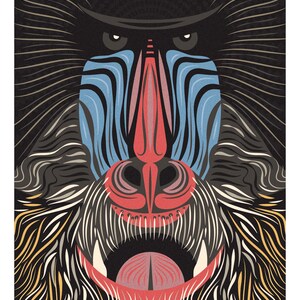 May include: A striking illustration of a mandrill's face, highlighting its unique characteristics. The artwork features a black face with blue and red markings, a detailed mane, and an open mouth revealing teeth and a pink tongue. The style is graphic and bold.