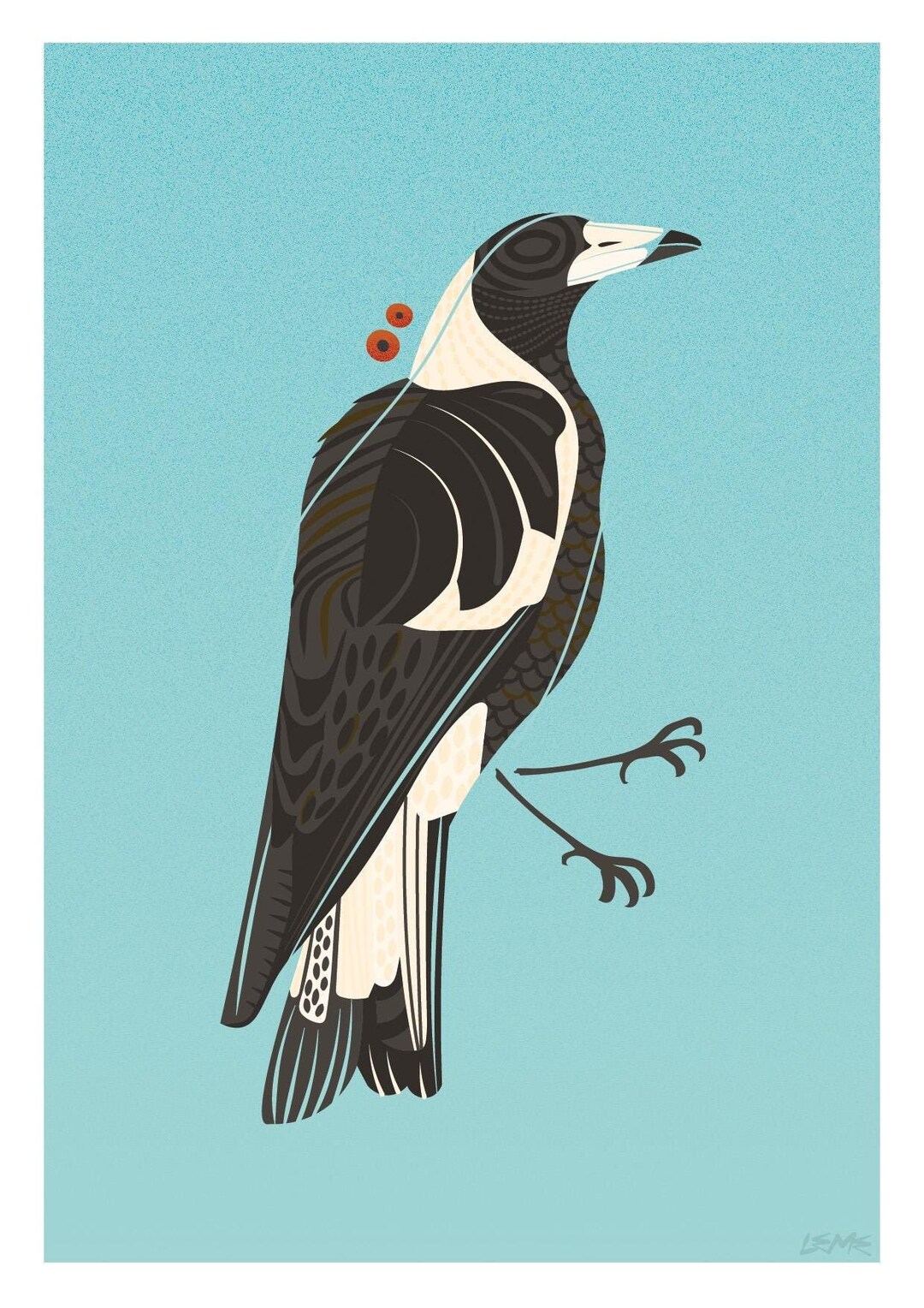 Magpie Bundle of 5 Vector-art, Illustrated Wall Prints. Stylised, Home ...
