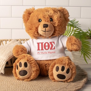 May include: A brown teddy bear with a white t-shirt featuring red Greek letters and the text "Pi Theta Sigma." The bear has a smiling face, black eyes, and paw prints on its feet. It is sitting on a woven mat.
