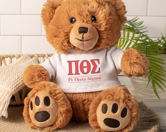 Greek Letters and Custom Text Personalized  8" Stuffed Teddy Bear: College Fraternity Sorority Stuffed Animal