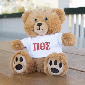 May include: A brown teddy bear wearing a white t-shirt with red Greek letters. The plush bear has a smiling face, black paw prints on its feet, and is sitting on a wooden surface. The bear is a soft toy.