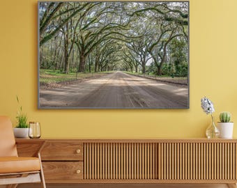 May include: A photograph of a long, dirt road lined with trees that have branches arching over the road, creating a canopy of leaves. The road leads to a point in the distance where the trees are less dense.