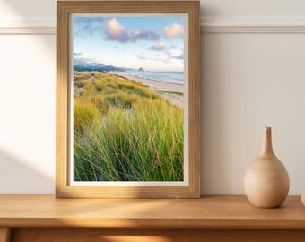 May include: A framed photograph of a beach scene with tall green grass in the foreground, a sandy beach, and a blue ocean with a rocky island in the distance. The sky is a light blue with white clouds.