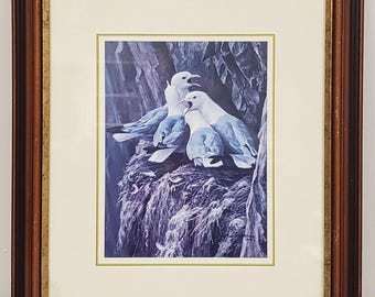 ロバート・ベイトマン 1979年 カモメの巣 額装プリント壁掛け - サイン入り野生動物アート