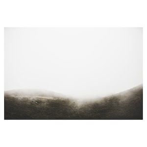 Marin Headlands: Tennessee Valley Fog