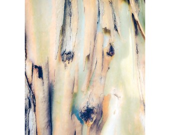 Tranquil Eucalyptus Tree Bark with Abstract Horse Image, Pastel Colors