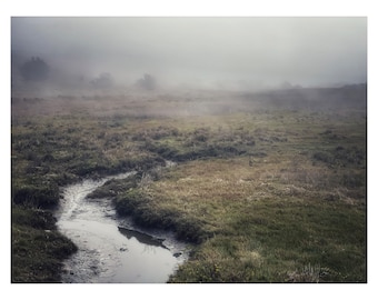 Foggy Creek: Point Reyes National Seashore, California