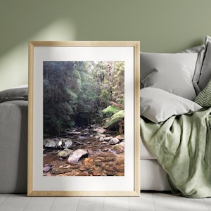 Australian Rainforest, Strahn, Tasmania, Nature Print, Photography, Digital Download