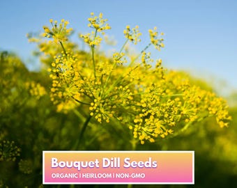 Organic Bouquet Dill Seeds - Heirloom Non-GMO Herb Seeds for Home Gardener