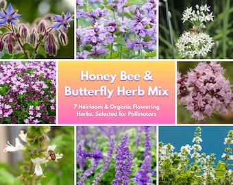 Organic Herb Seed Mix – Butterfly & Honey Bee Garden, Heirloom Non-GMO