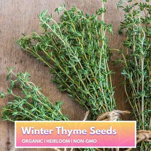 Thyme - Organic Heirloom Non-GMO Premium Seeds