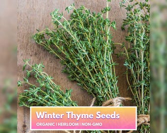 Organic Thyme Seeds- Heirloom Non-GMO Herb Seeds for Home Gardener