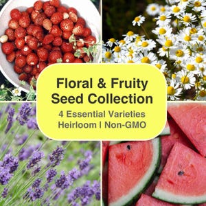 Summer Seed Mix - Strawberry, Watermelon, Chamomile, Lavender - Organic Heirloom Non-GMO Seeds