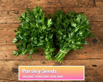 Organic Parsley Seeds - Heirloom Non-GMO Herb Seeds for Home Gardener