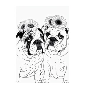 Bulldog Coloring Page