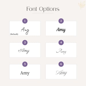 May include: A graphic display titled Font Options featuring six numbered choices for the name Amy. Each option presents the name in a distinct typeface style, ranging from thin cursive scripts to bold serif fonts, organised in a grid layout.