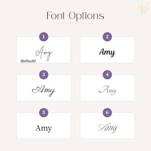 May include: A chart titled Font Options displaying six distinct typographic styles for the name Amy. Each style is numbered one through six inside a purple circle, with the first option labeled as Default. The text is black on a light background.