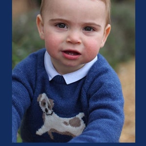 Prince Louis Puppy Sweater PDF