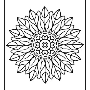 May include: Black and white mandala coloring page. The design features a central circular element surrounded by stylized leaves and petals, all within a rectangular border. Perfect for relaxation and creative expression.