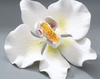 Orchid Gum Paste Flowers for Weddings and Cake Decorating