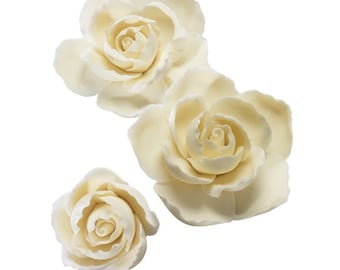 May include: Three ivory-colored rose blossoms against a white background. The roses have multiple layers of petals, with a tightly wound center. The petals have a soft, rounded shape, and the overall effect is delicate and elegant.
