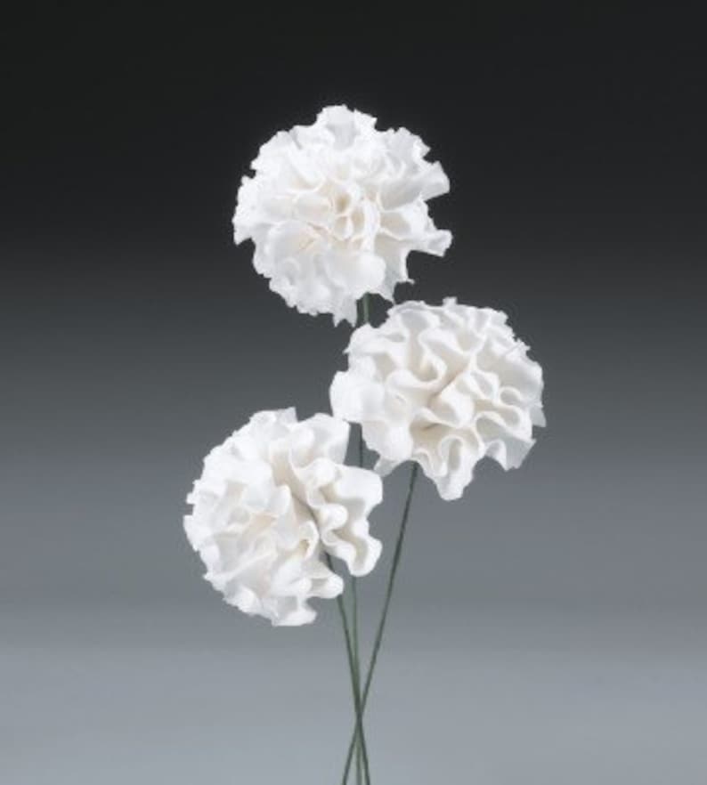 12ct White Carnation Gum Paste Flowers for Weddings and Cake Etsy