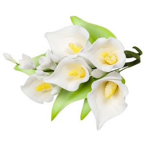 Könnte beinhalten: Ein Bouquet aus weißen Calla-Lilien mit leuchtend gelben Zentren und grünen Blättern. Die Blumen sind in einer Gruppe angeordnet, wobei einige Blüten vollständig geöffnet und andere in Knospenform sind. Das Bild ist vor einem weißen Hintergrund.