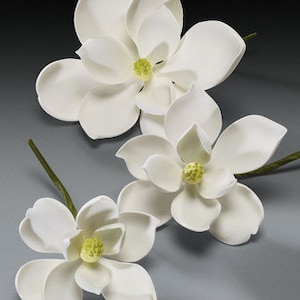 Könnte beinhalten: Drei weiße Magnolienblüten mit grünen Stielen und gelben Zentren sind auf einer grauen Oberfläche angeordnet. Die Blüten haben mehrere Blütenblätter und befinden sich in verschiedenen Blühstadien, was eine natürliche und elegante Ästhetik schafft.