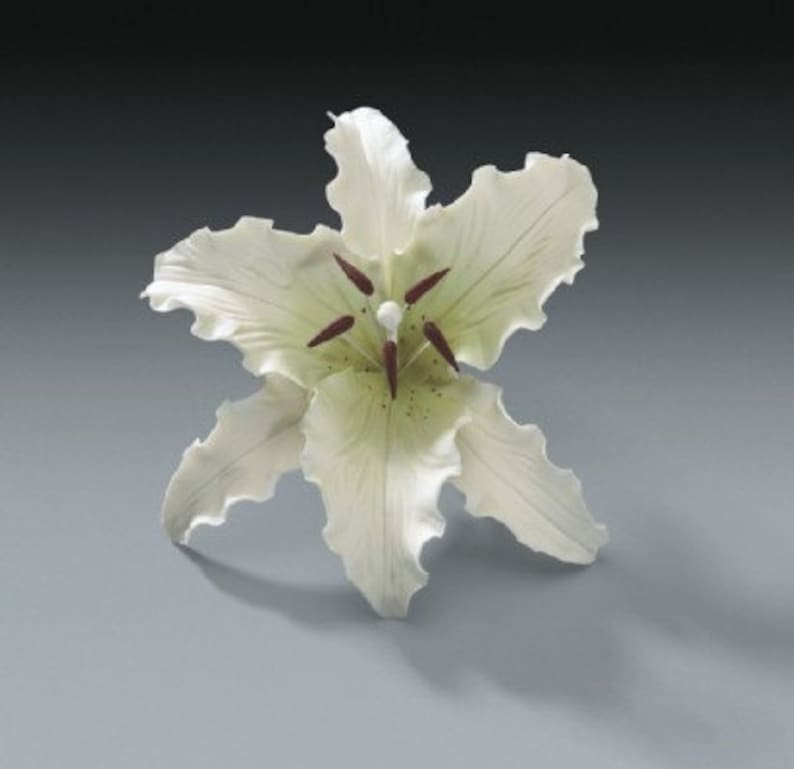 Stargazer Gum Paste Flower Lily for Weddings & Cake Decorating Etsy