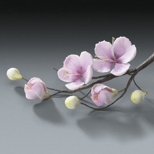 May include: A delicate floral arrangement featuring a branch with light pink blossoms and buds. The flowers have yellow centers and are set against a dark gray background. The branch appears to be made of a dark, textured material.
