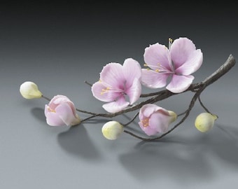 May include: A delicate floral arrangement featuring a branch with light pink blossoms and buds. The flowers have yellow centers and are set against a dark gray background. The branch appears to be made of a dark, textured material.