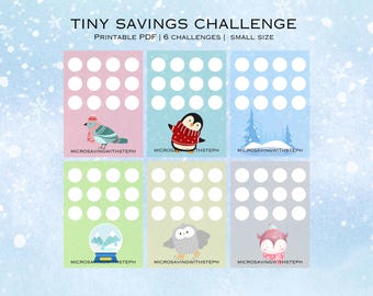 Winter Tiny savings Challenge