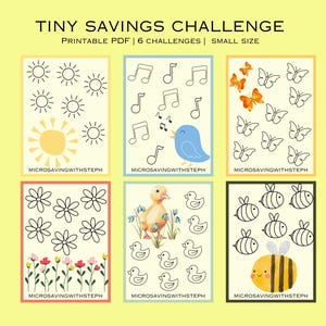 Tiny savings challenge