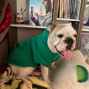 Bold Color Dog Hoodie – Soft Cotton French Bulldog Sweatshirt – Pet Hoodie for Medium & Large Dogs