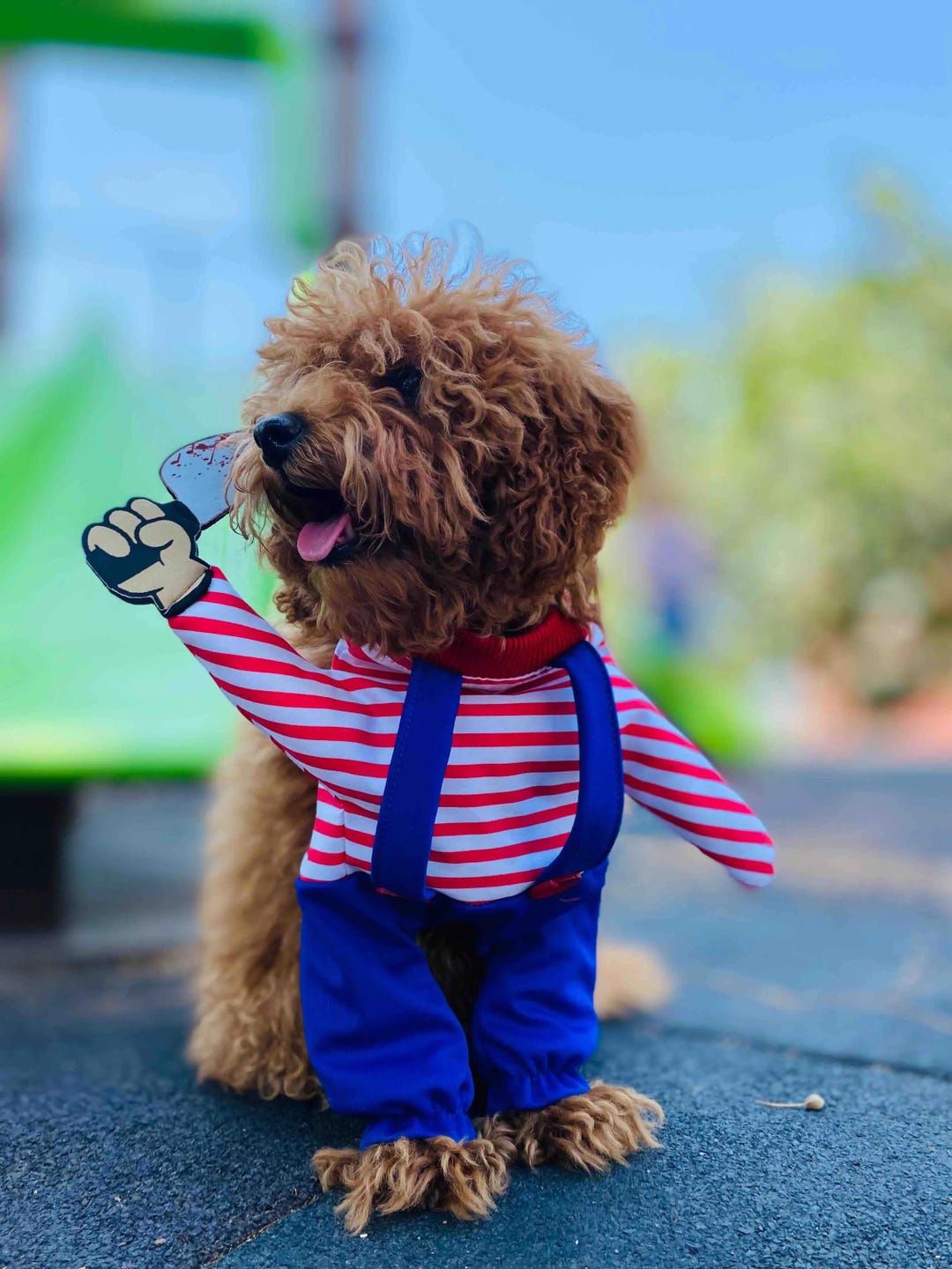 Costume da bambola assassina per cani Vestito di Halloween per