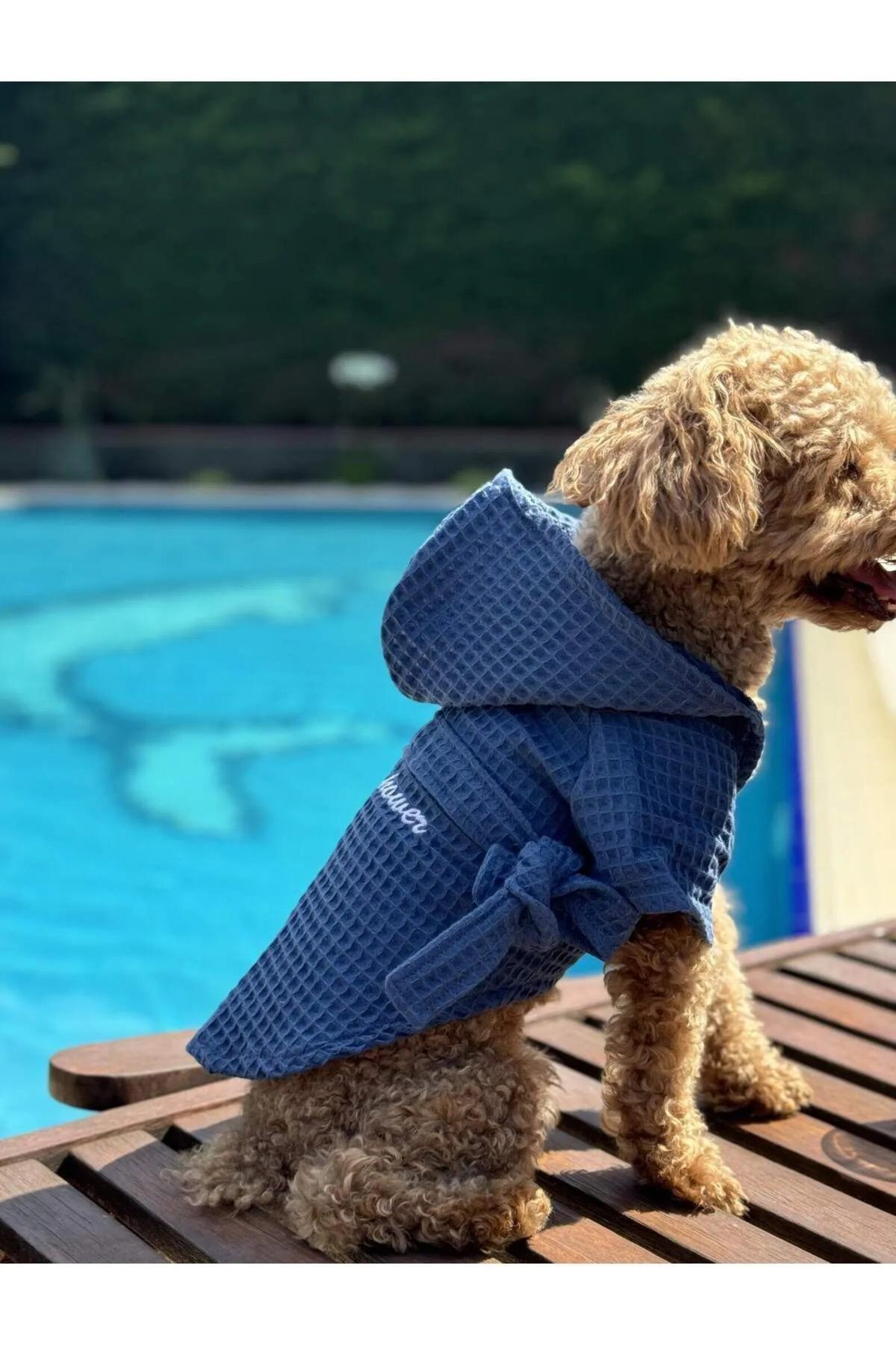 Dog Bathrobe With Hood – “had Shower” Embroidered Towel Robe for Small ...