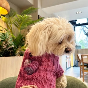 Handmade Pink Knit Dog Sweater: Heart Patch, Golden Buttons