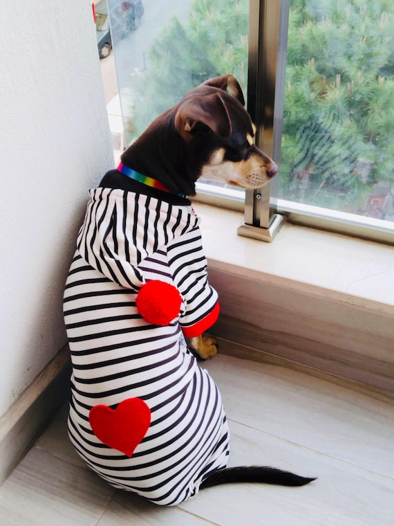 Pijama Sudadera Para Perros Y Gatos Ropa Suéter Mascota | Envío Gratis