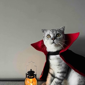 Vampire Cape Cat Costume Red and Black Cloak for Pets