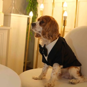 Elegant Dog Tuxedo Suit: Formal Wedding Outfit with Bow Tie