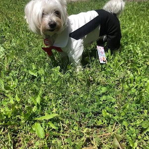 Formal Dog Tuxedo Outfit with Red Bow Tie – Elegant Pet Costume for Weddings & Events